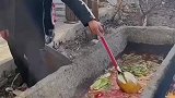 请大家吃火锅，都赶紧来，敢不敢吃就看你们的了