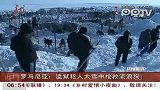 罗马尼亚组织监狱犯人大雪中抢救流浪狗
