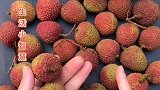 这样挑选，再也不用担心会吃到虫子了！你学会咋挑了吗