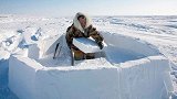 北极唯一的居民因纽特人，为何独爱住冰屋？入内后才明白一切
