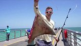 男人使用巨型黄貂鱼做诱饵，在大桥下钓巨物
