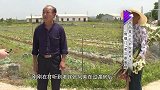 大爷心眼太小，总因琐事跟再婚老伴争吵，继女很是反感！