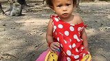 小猴子帮主人看孩子，宝宝走哪跟哪，绝不能让宝宝离开自己的视线