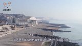 海鸥叼走男子的手机，飞了一圈又回到原地，手机记录罕见画面