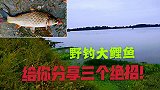 国庆期间千万别错过钓大鲤鱼，只要掌握这三个要点，鱼获成倍增加