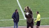 俄罗斯一场足球比赛前，主办方找来了一只大棕熊。。。