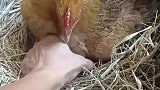 吃人嘴软，拿人手短