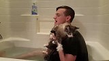 猫十分怕水，一洗澡就剧烈反抗，喉咙都叫破了！
