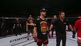 UFC-15年-UFC Fight Night 67：次中量级康迪特vs阿尔维斯集锦-精华