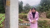 搞笑剧：春梅蓉妹儿没礼貌，乡巴佬让她们无话可说，太解气了！