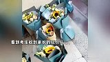 郑州一大学生高考考点卖花反亏1000：进价50元降到10元1束才卖完