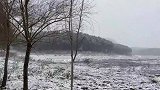 惠比特犬被玩雪人带来的伞给吓得不轻，还好有德牧，挺身而出保护
