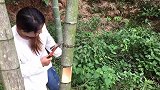 妹子拿着锤子对竹子一阵凿，就为了喝一口纯正佳酿