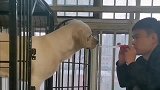 小伙子逗狗的搞笑操作！