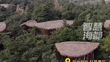 福州市，从动画走进现实，福州鼓岭树屋让你实现树上蹲！