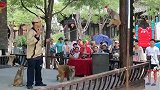 猴子走纲丝。
