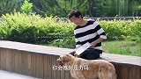 小伙的烦心事情太多，竟羡慕自家金毛狗的生活，永远可以无忧无虑