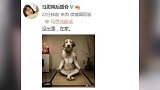 马思纯被曝出国养病 后援会辟谣：她在家