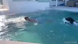 皇马男模团的假期开始了！伊斯科自家泳池里与爱犬戏水