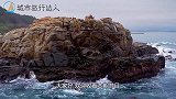 内陆到海南没有海上轨道，那么火车是怎么过海的？网友：长见识了