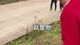 哼，啥也不是