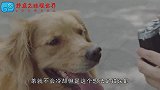 保温杯泡茶会致癌！这些的“索命”水杯，能不用就不要再用了！
