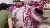 刚面试的一个场子，看着像是加工牛肉，领导却说是地毯！