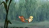 猫和老鼠：汤姆正准备欺负小鸭子，结果小鸭子的爸爸来了！