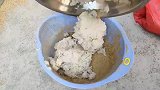 给鹌鹑喂食，养蜂的阳台很多死蜜蜂，捡来喂鹌鹑，下蛋明显大很多