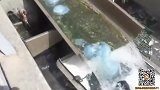 管道内布满白色絮状物看清后被迫戴手套清理