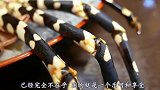 土豪花10000买了一只螃蟹，掰开壳看到里面后，愣住了