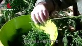 小时候经常吃的“宝塔糖”，为什么现在没卖？没想到还有这层内幕