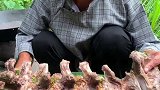 山里人啃大牛骨头