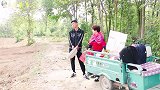 小朱嫌天热不想干活，这边化肥还没撒好，那边犁地的机子就来了