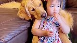 宝宝不就吃点零食吗，狗狗这表情也是绝了，哈哈哈