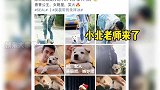 吴磊的狗被叫老师 经纪人吴磊带“女明星”小北录节目，这就是传说中的狗模人样娱乐播报台