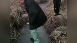 请大家看北方特产，屁股开花