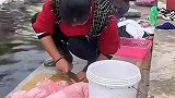 低配版恒河，水被污染了