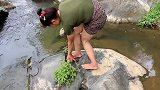 妹子在河边发现鱼，用石头砸不成，直接下水去抓，太勇敢了