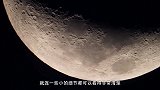 600倍望远镜能看多远？牛人亲测，网友：再也不敢不拉窗帘了！