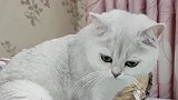 啥情况！这谁家孩子怎么没人管啊，到处可爱能行吗