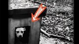 最暖心的一幕