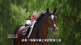 演技堪比影帝的猫咪力战恐龙，顺便还能来个艳遇，搞笑短片