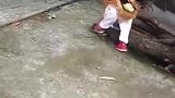 这是啥，鸡精吗