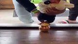 刚出生的小孩要做的事情，把米踢倒踩进盆里印上脚印