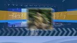 视听新时代 赋能创未来