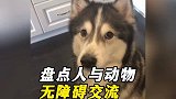 盘点人与动物之间无障碍交流，动物能听懂人话，简直不要太神奇