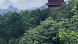 求佛，我在佛前苦苦求了几千年，希望可以感动上天