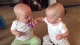 妈妈简直太坏了，就买一个奶嘴，两个小萌娃抢来抢去，哭的好可怜