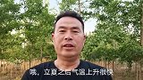夏天高温难耐，训犬高手给狗洗澡灭跳蚤，狗狗听话像小孩